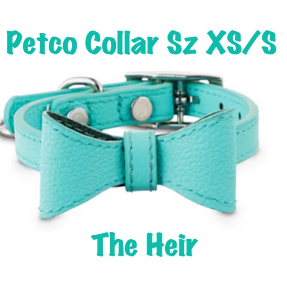 NWT Petco Youly Brand Teal Unisex The Heir Dog Buckle Collar Sz XS/S Bowtie